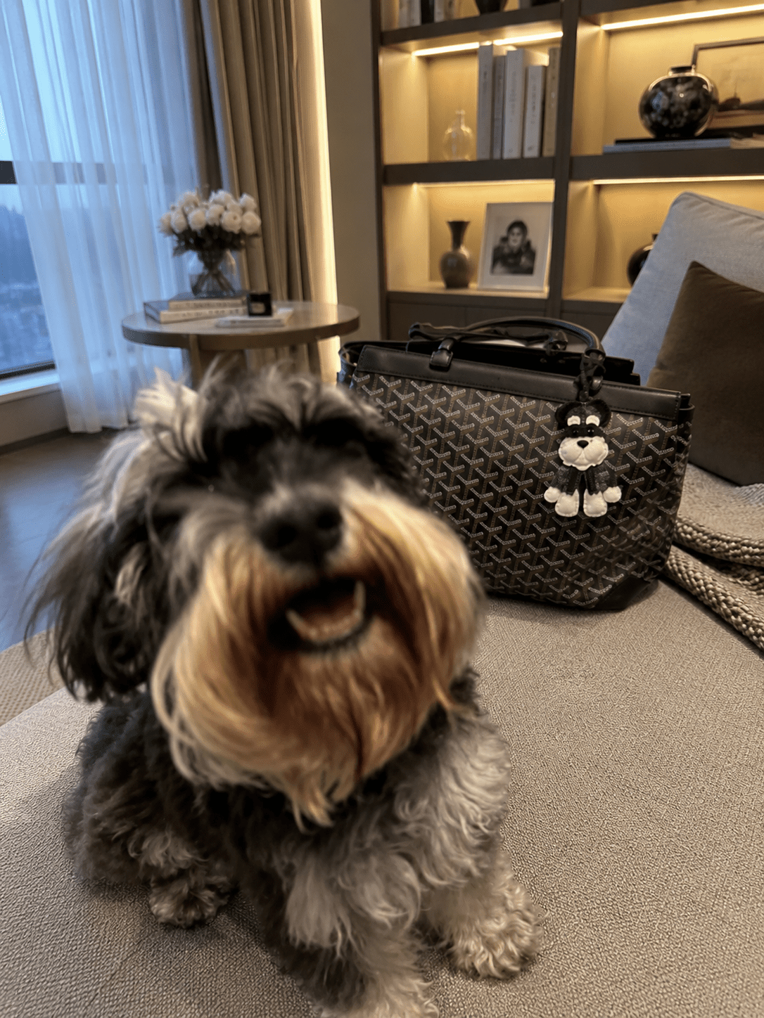 Dog Charm Styling