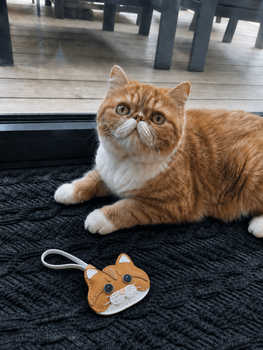 Cat Charm Styling